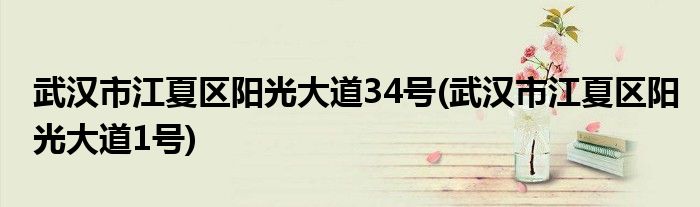 武汉市江夏区阳光大道34号(武汉市江夏区阳光大道1号)