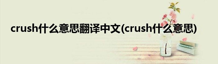 crush什么意思翻译中文(crush什么意思)