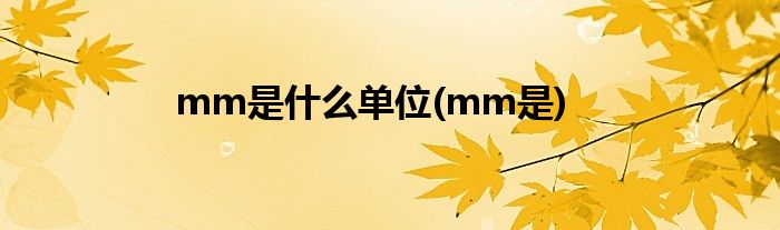 mm是什么单位(mm是)