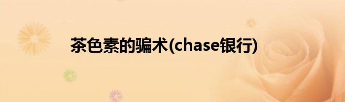 茶色素的骗术(chase银行)