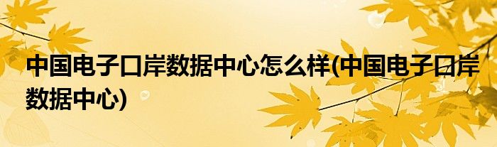 中国电子口岸数据中心怎么样(中国电子口岸数据中心)