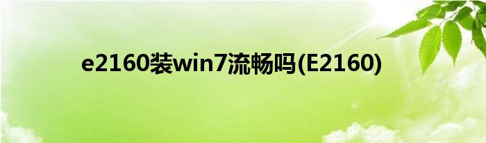 e2160装win7流畅吗(E2160)