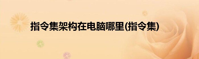 指令集架构在电脑哪里(指令集)