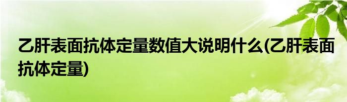 乙肝表面抗体定量数值大说明什么(乙肝表面抗体定量)