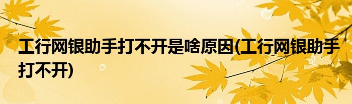 工行网银助手打不开是啥原因(工行网银助手打不开)