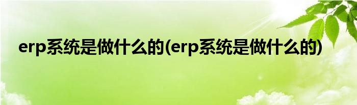 erp系统是做什么的(erp系统是做什么的)