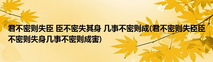 君不密则失臣 臣不密失其身 几事不密则成(君不密则失臣臣不密则失身几事不密则成害)