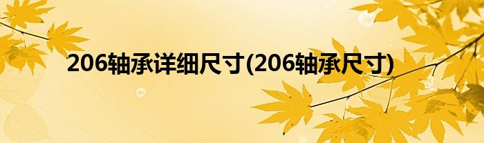 206轴承详细尺寸(206轴承尺寸)