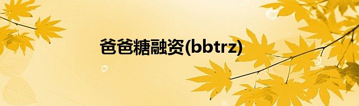 爸爸糖融资(bbtrz)