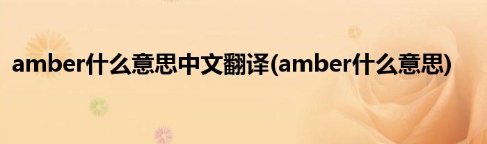 amber什么意思中文翻译(amber什么意思)