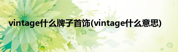 vintage什么牌子首饰(vintage什么意思)