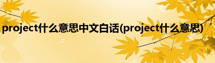 project什么意思中文白话(project什么意思)