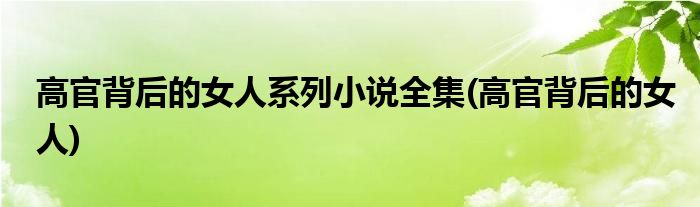 高官背后的女人系列小说全集(高官背后的女人)