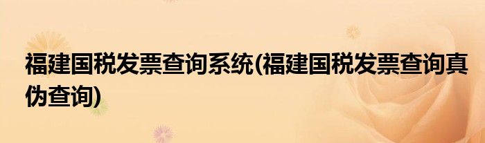 福建国税发票查询系统(福建国税发票查询真伪查询)