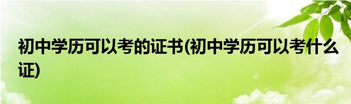 初中学历可以考的证书(初中学历可以考什么证)