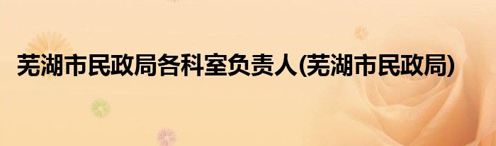 芜湖市民政局各科室负责人(芜湖市民政局)