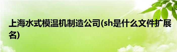 上海水式模温机制造公司(sh是什么文件扩展名)