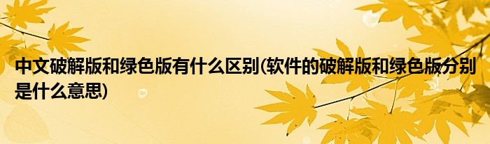 中文破解版和绿色版有什么区别(软件的破解版和绿色版分别是什么意思)