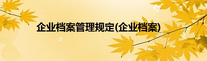 企业档案管理规定(企业档案)