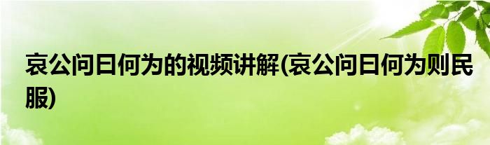 哀公问曰何为的视频讲解(哀公问曰何为则民服)