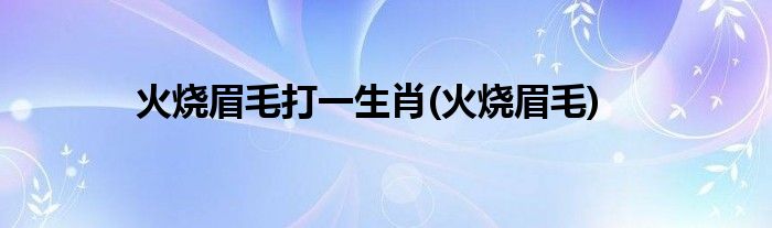 火烧眉毛打一生肖(火烧眉毛)