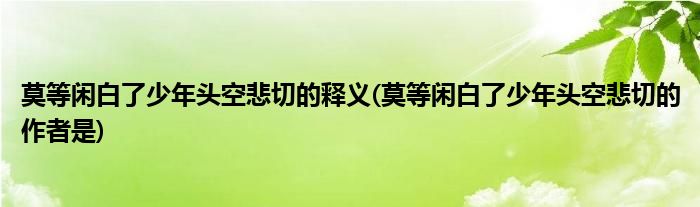 莫等闲白了少年头空悲切的释义(莫等闲白了少年头空悲切的作者是)