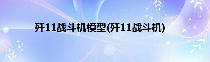 歼11战斗机模型(歼11战斗机)