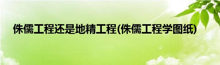 侏儒工程还是地精工程(侏儒工程学图纸)