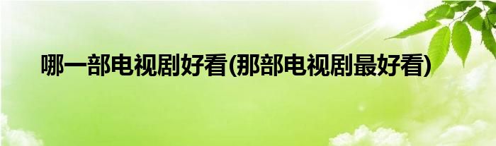 哪一部电视剧好看(那部电视剧最好看)