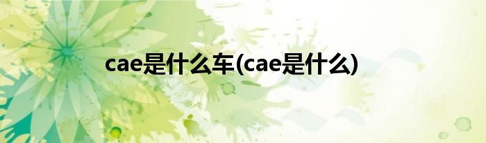 cae是什么车(cae是什么)