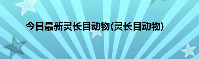 今日最新灵长目动物(灵长目动物)