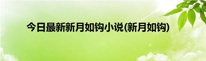 今日最新新月如钩小说(新月如钩)