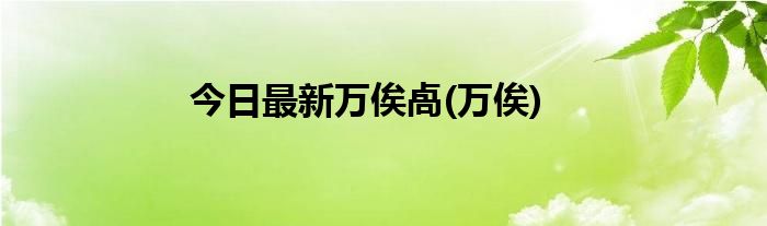 今日最新万俟卨(万俟)