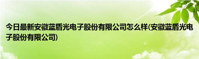 今日最新安徽蓝盾光电子股份有限公司怎么样(安徽蓝盾光电子股份有限公司)