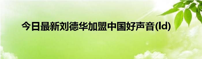 今日最新刘德华加盟中国好声音(ld)