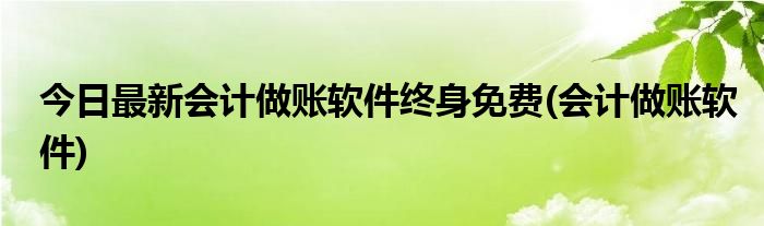 今日最新会计做账软件终身免费(会计做账软件)