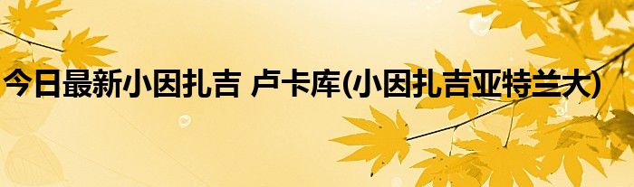 今日最新小因扎吉 卢卡库(小因扎吉亚特兰大)