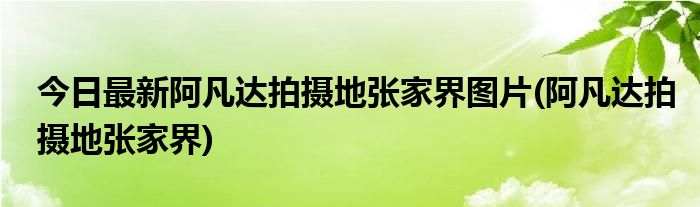 今日最新阿凡达拍摄地张家界图片(阿凡达拍摄地张家界)