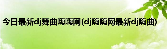 今日最新dj舞曲嗨嗨网(dj嗨嗨网最新dj嗨曲)