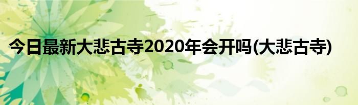 今日最新大悲古寺2020年会开吗(大悲古寺)