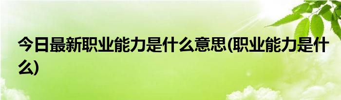 今日最新职业能力是什么意思(职业能力是什么)