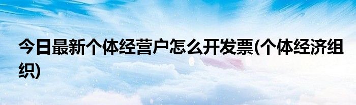 今日最新个体经营户怎么开发票(个体经济组织)