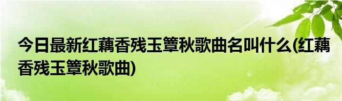 今日最新红藕香残玉簟秋歌曲名叫什么(红藕香残玉簟秋歌曲)