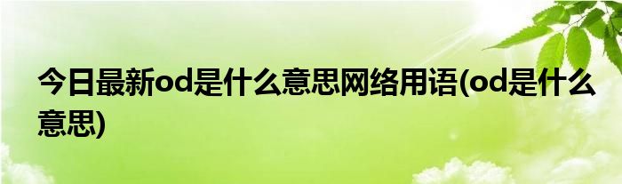 今日最新od是什么意思网络用语(od是什么意思)