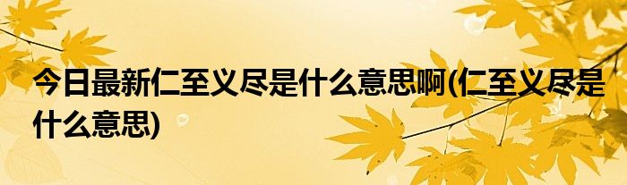 今日最新仁至义尽是什么意思啊(仁至义尽是什么意思)