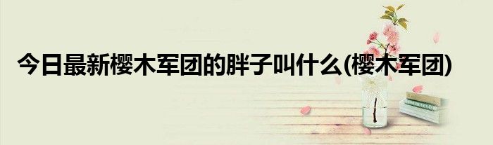 今日最新樱木军团的胖子叫什么(樱木军团)