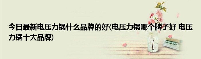 今日最新电压力锅什么品牌的好(电压力锅哪个牌子好 电压力锅十大品牌)