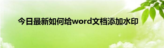今日最新如何给word文档添加水印