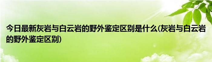 今日最新灰岩与白云岩的野外鉴定区别是什么(灰岩与白云岩的野外鉴定区别)