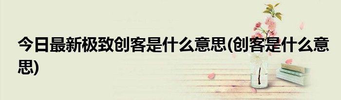 今日最新极致创客是什么意思(创客是什么意思)
